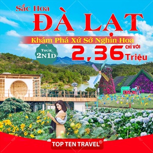Tour du lịch Đà Lạt - Thành phố ngàn hoa | 3N3D